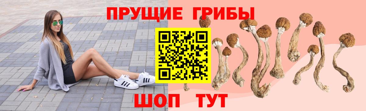 Псилоцибиновые грибы Psilocybine cubensis  Вход с VPN  Чита  Псилоцибиновые грибы прущие грибы 